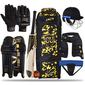 Premium Sports Pack of 8 Cricket Kit For 9-14 Year Kids (Hard Bat + Hard  Ball + Junior Gloves + Cricket Kit Bag + Helmet + Under Guard + Leg Pads +