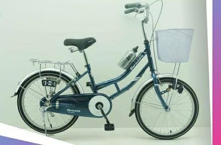 24 Bicycle For Girls Cobalt Periwinkle